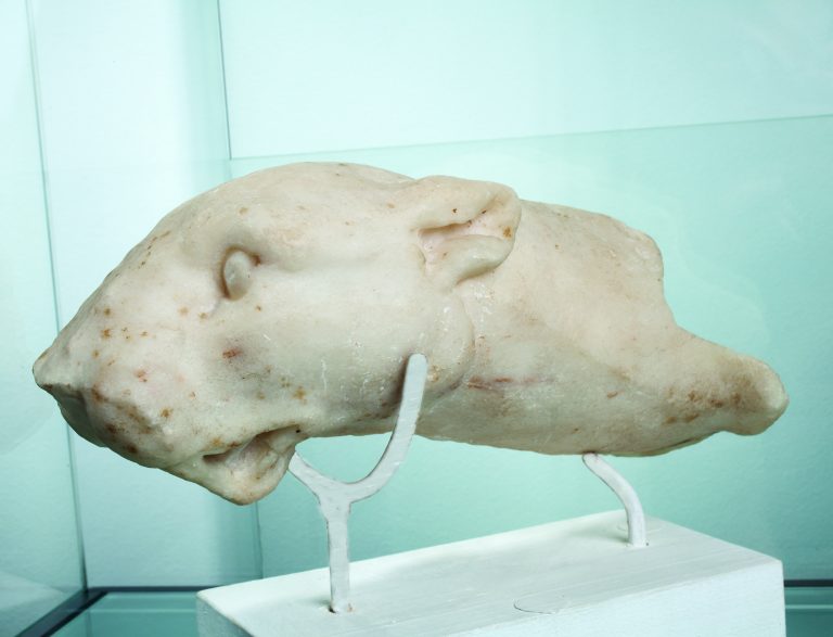 MARBLE HEAD OF A PANTHER,25 cm height, inv.no. 992/R